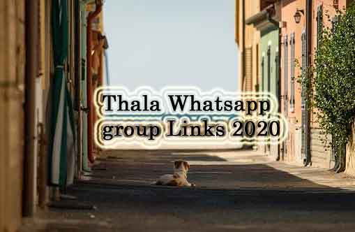 Thala Whatsapp Group Link
