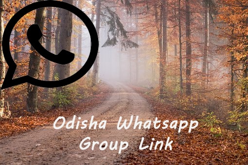 Odisha Whatsapp Group Link